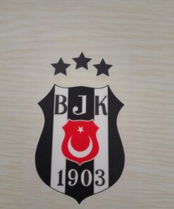 dtf baskı ölçülerimiz 7'ye 5
