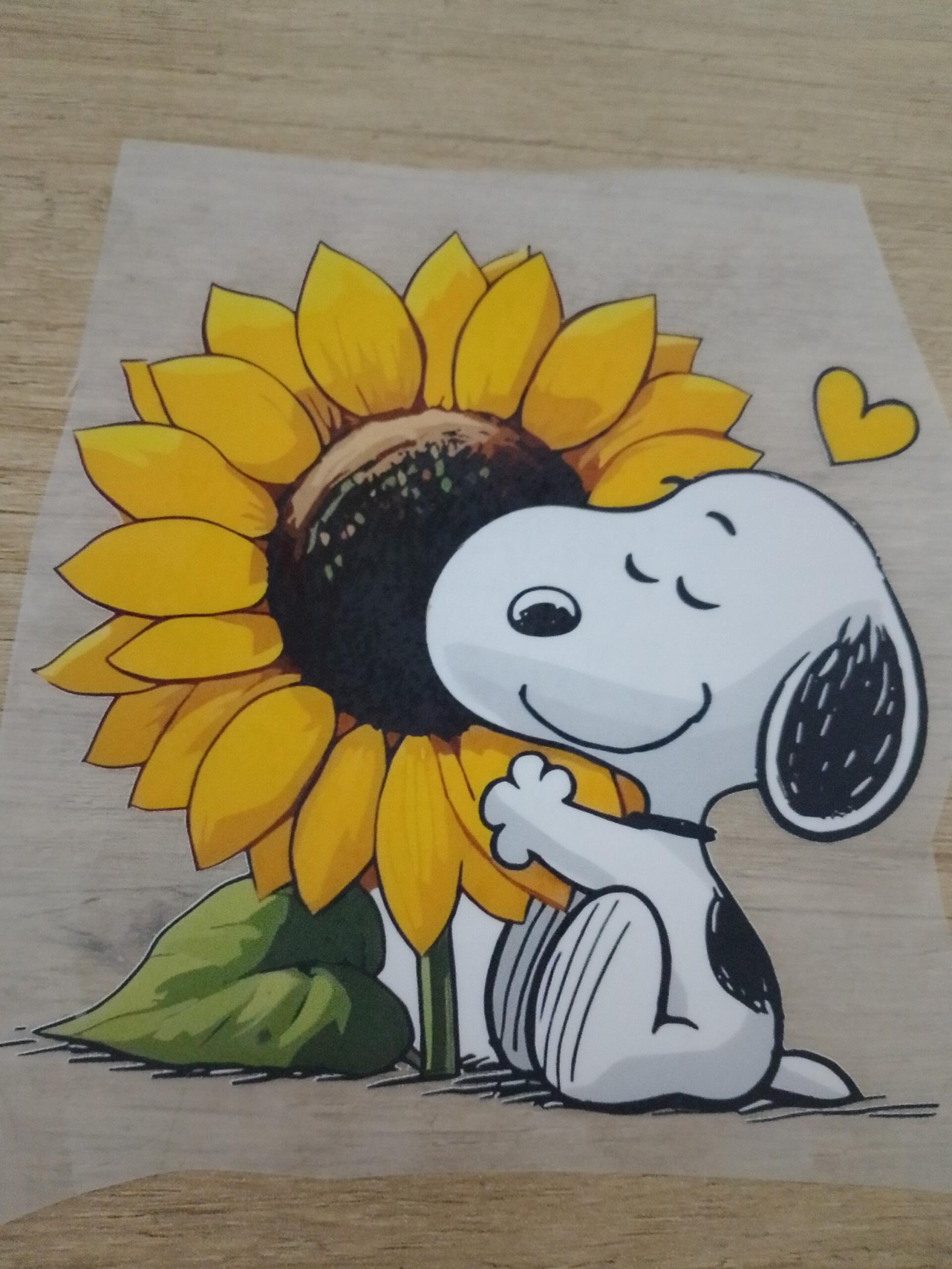 dtf baskı ölçülerimiz 12'ye 12